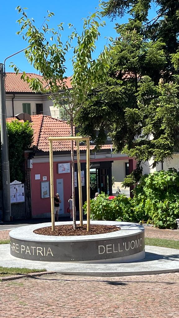 WhatsApp Image 2022-07-10 at 20.28.49